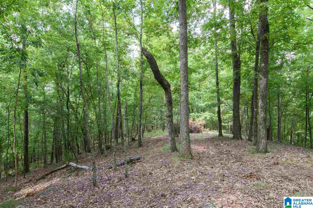 366 Signal Trail Pelham, AL 35124 - Photo 50 of 50