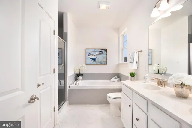a bathroom with a double vanity sink toilet mirror and bathtub