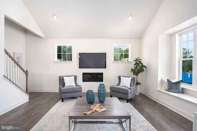 a living room with furniture a flat screen tv and a potted plant