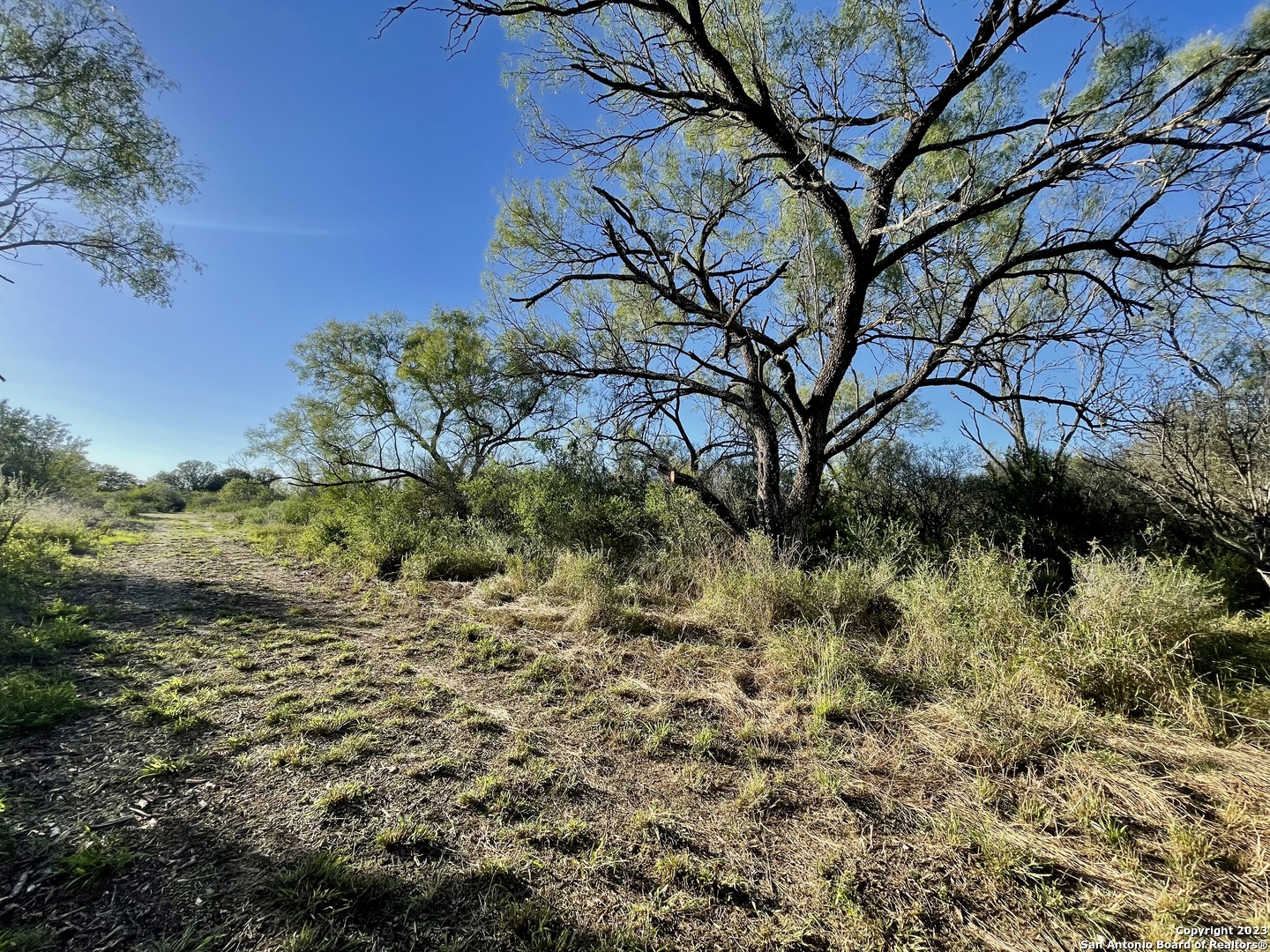 0 Fm 2779 Moore, TX 78057 - Photo 11 of 19 a backyard of a house with a yard
