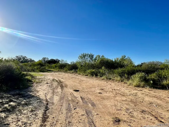 a view of a dry yard with trees in the background