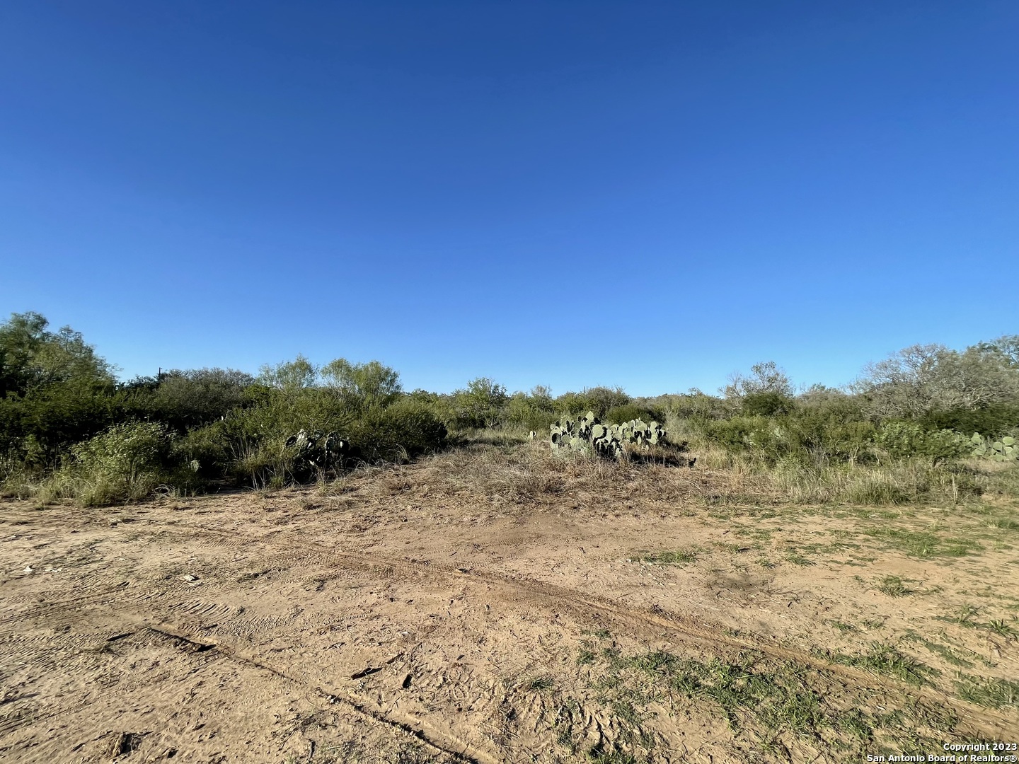 0 Fm 2779 Moore, TX 78057 - Photo 15 of 19 a view of a dry yard with trees in the background