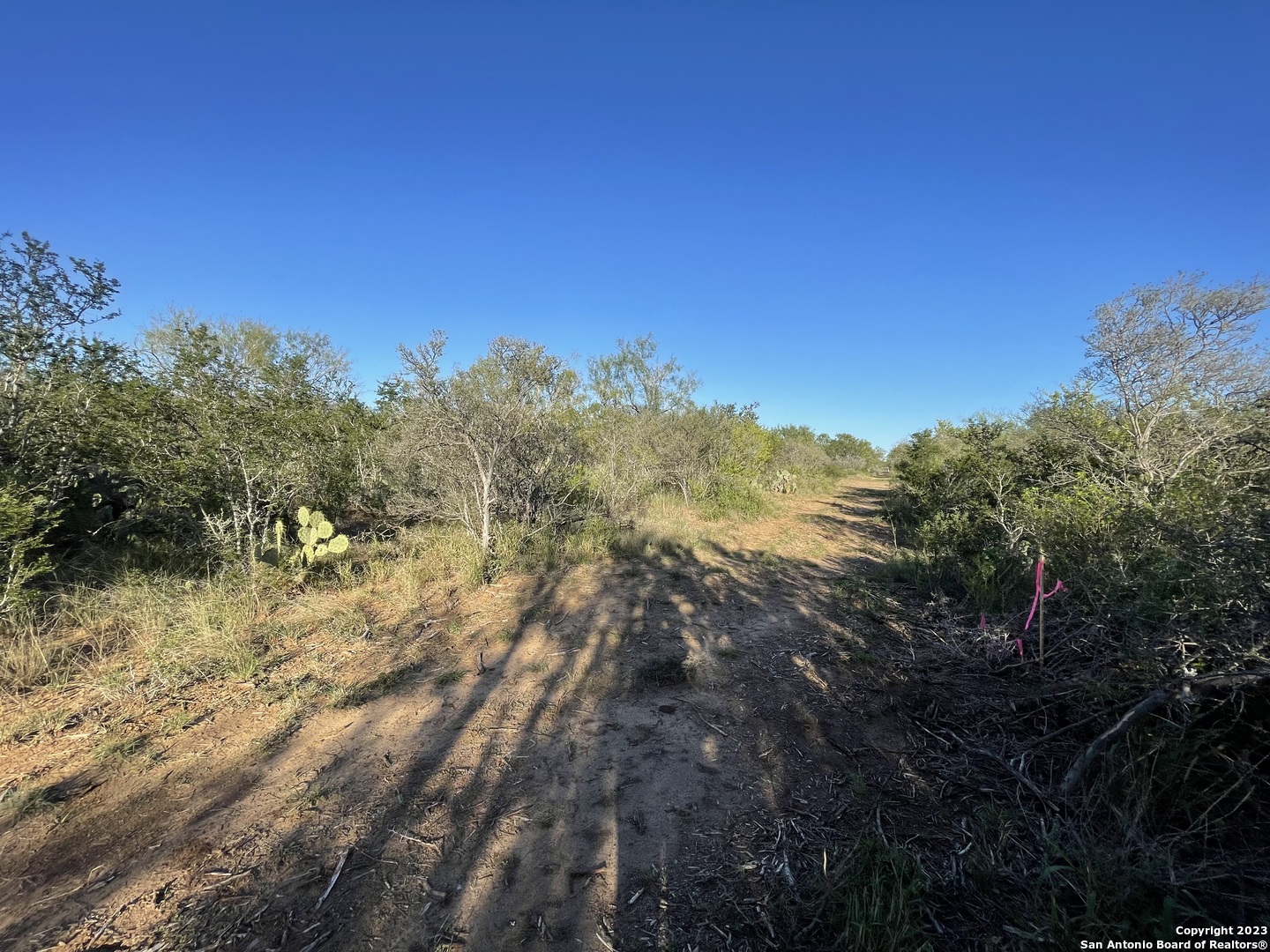 0 Fm 2779 Moore, TX 78057 - Photo 16 of 19 a view of a yard with a tree