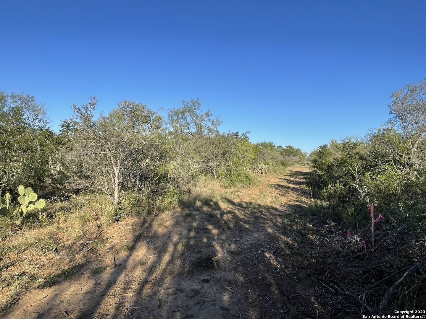 0 Fm 2779 Moore, TX 78057 - Photo 17 of 19 a view of mountain view with mountains in the background