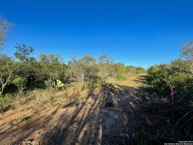 a big yard with lots of green space