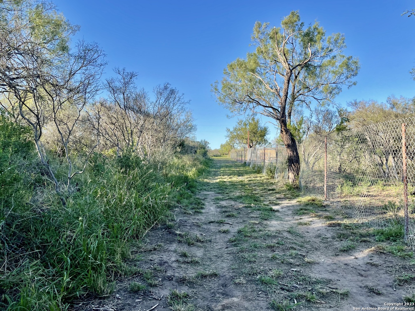 0 Fm 2779 Moore, TX 78057 - Photo 19 of 19 a big yard with lots of green space