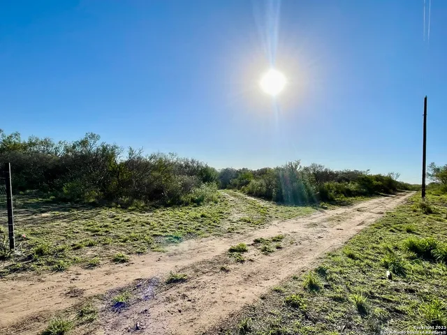 a view of a field with a tree in the background