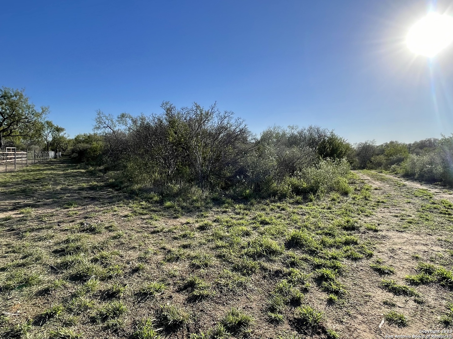 0 Fm 2779 Moore, TX 78057 - Photo 5 of 19 a view of a field with a tree in the background