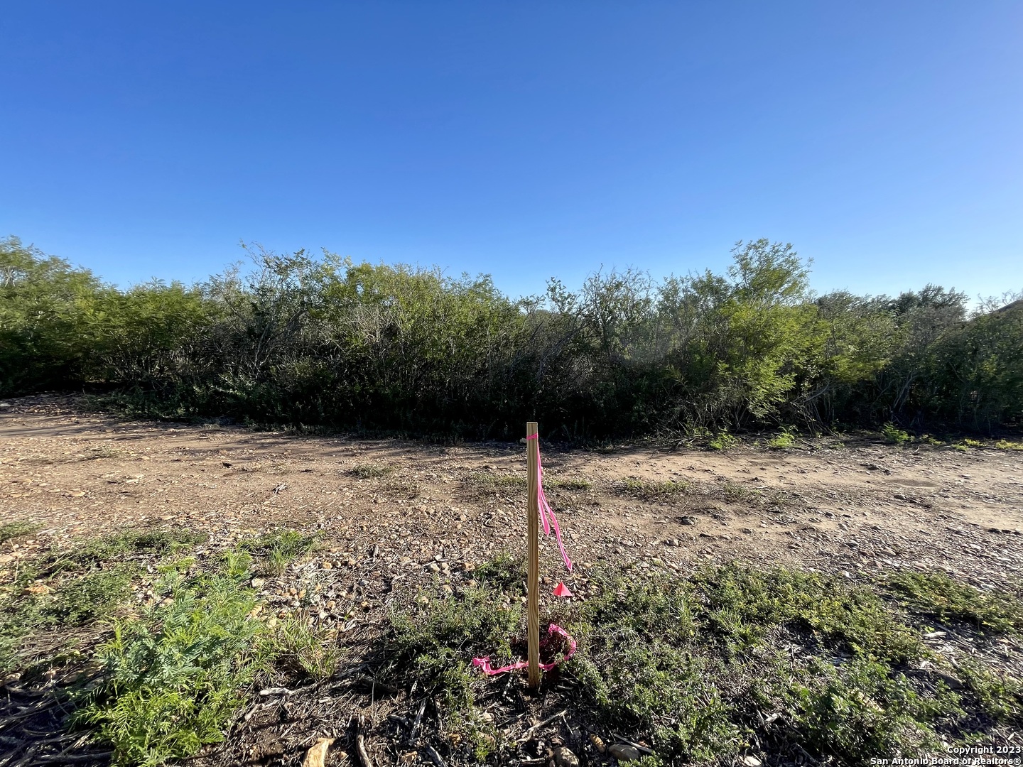 0 Fm 2779 Moore, TX 78057 - Photo 6 of 19 a view of a backyard of the house
