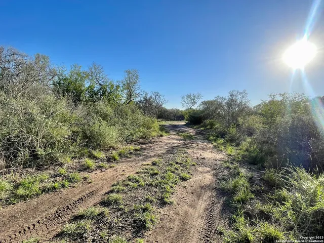 a view of a road with trees in the background