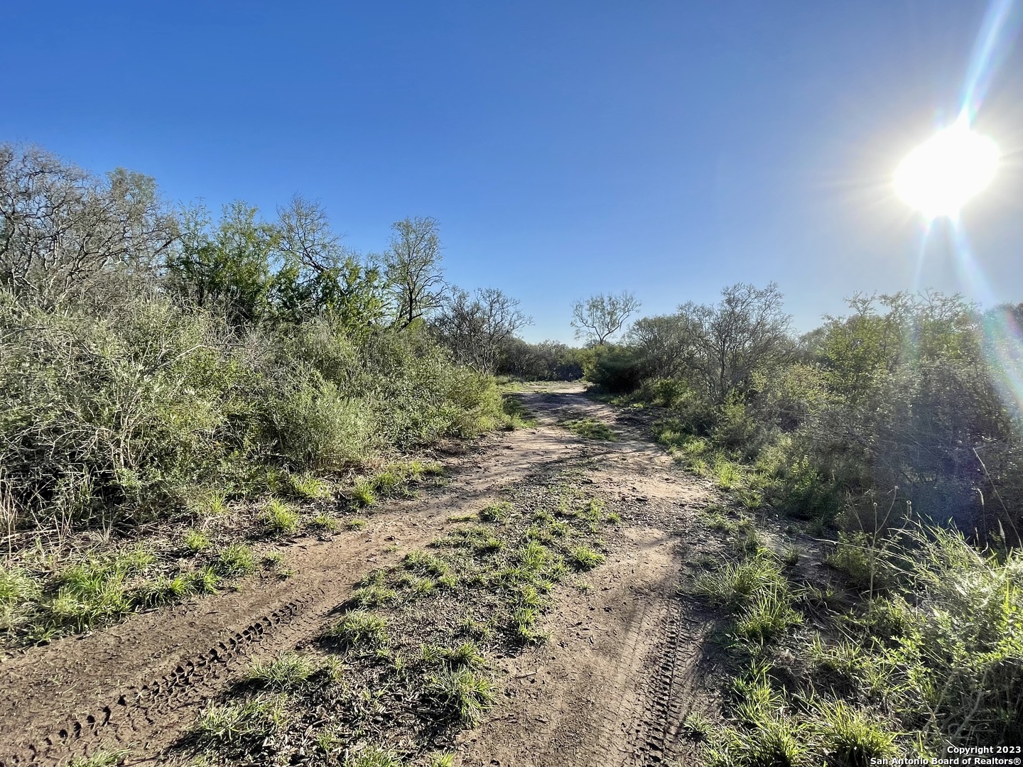 0 Fm 2779 Moore, TX 78057 - Photo 8 of 19 a view of a field
