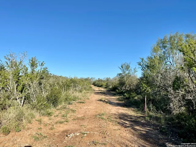 a view of a road with a yard
