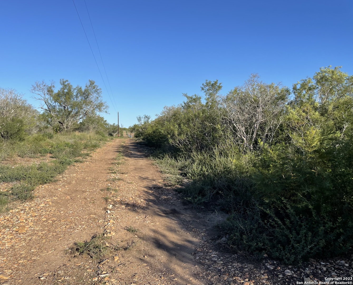 0 Fm 2779 Moore, TX 78057 - Photo 10 of 19 a view of a road with a yard