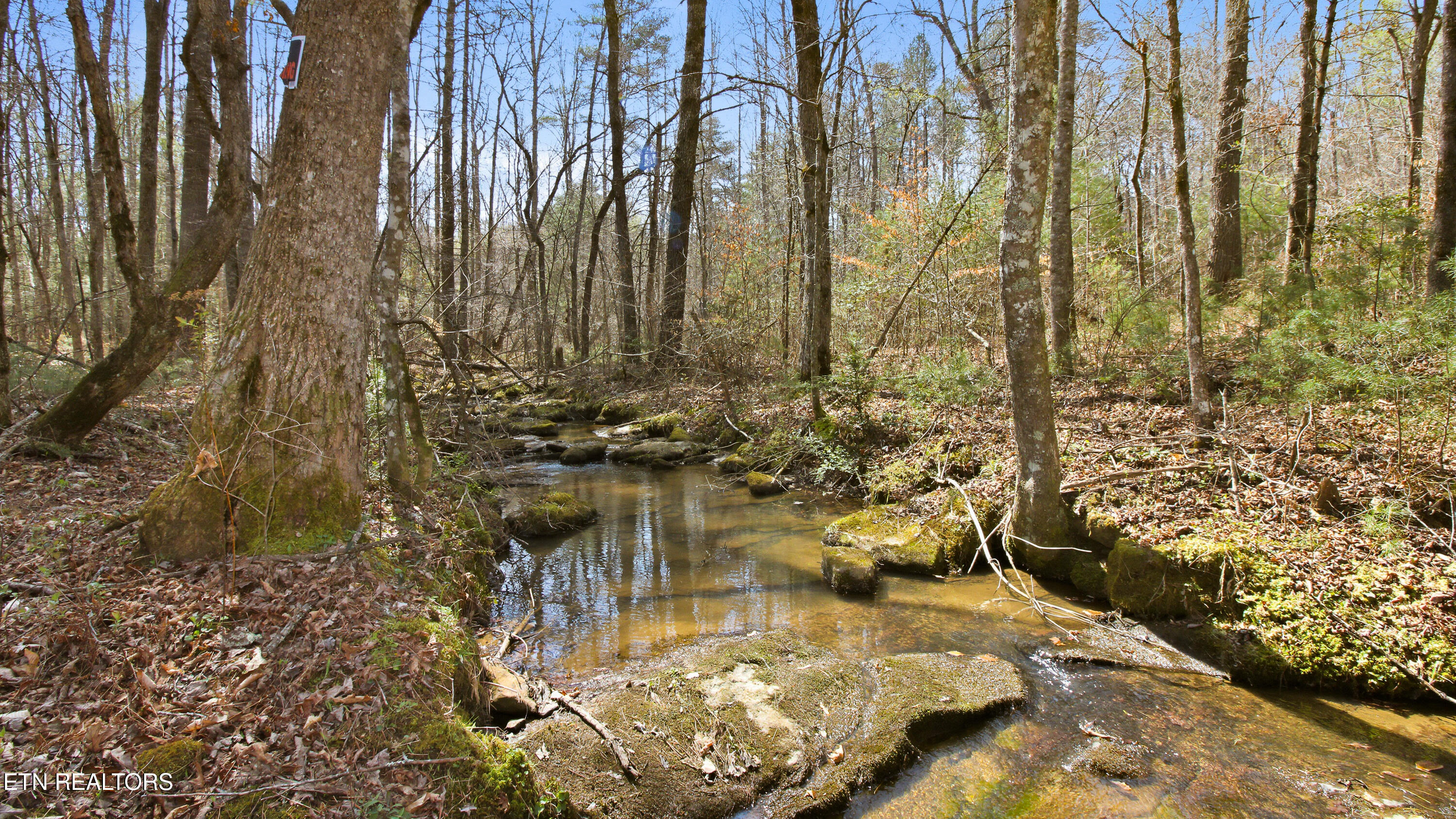 Young Road Robbins, TN 37852 - Photo 13 of 40 dan-10