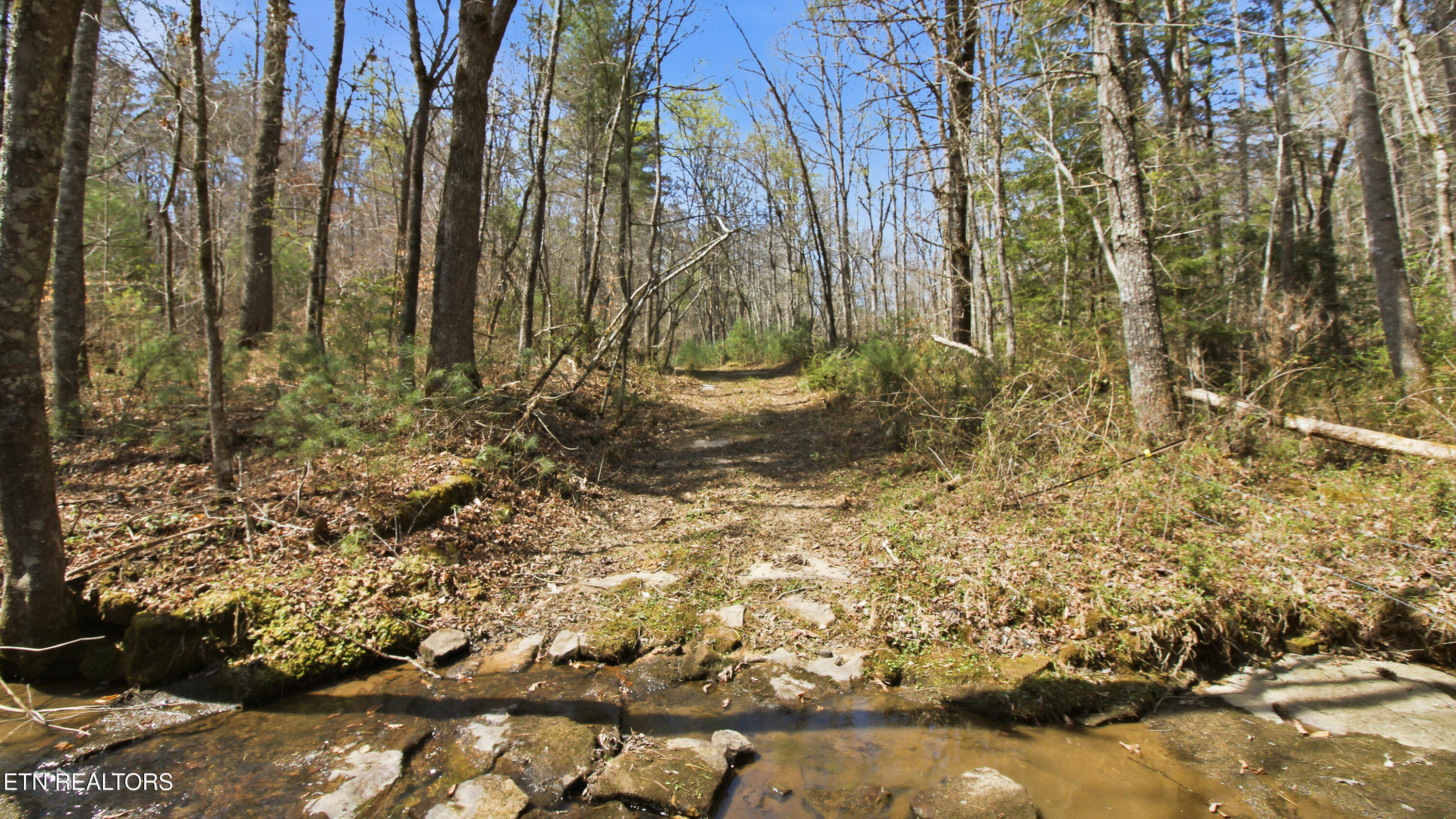 Young Road Robbins, TN 37852 - Photo 14 of 40 dan-11