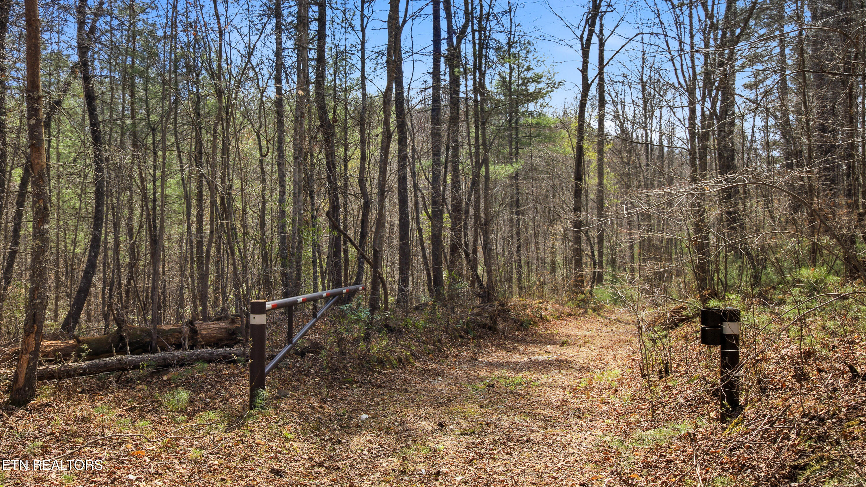 Young Road Robbins, TN 37852 - Photo 15 of 40 dan-12
