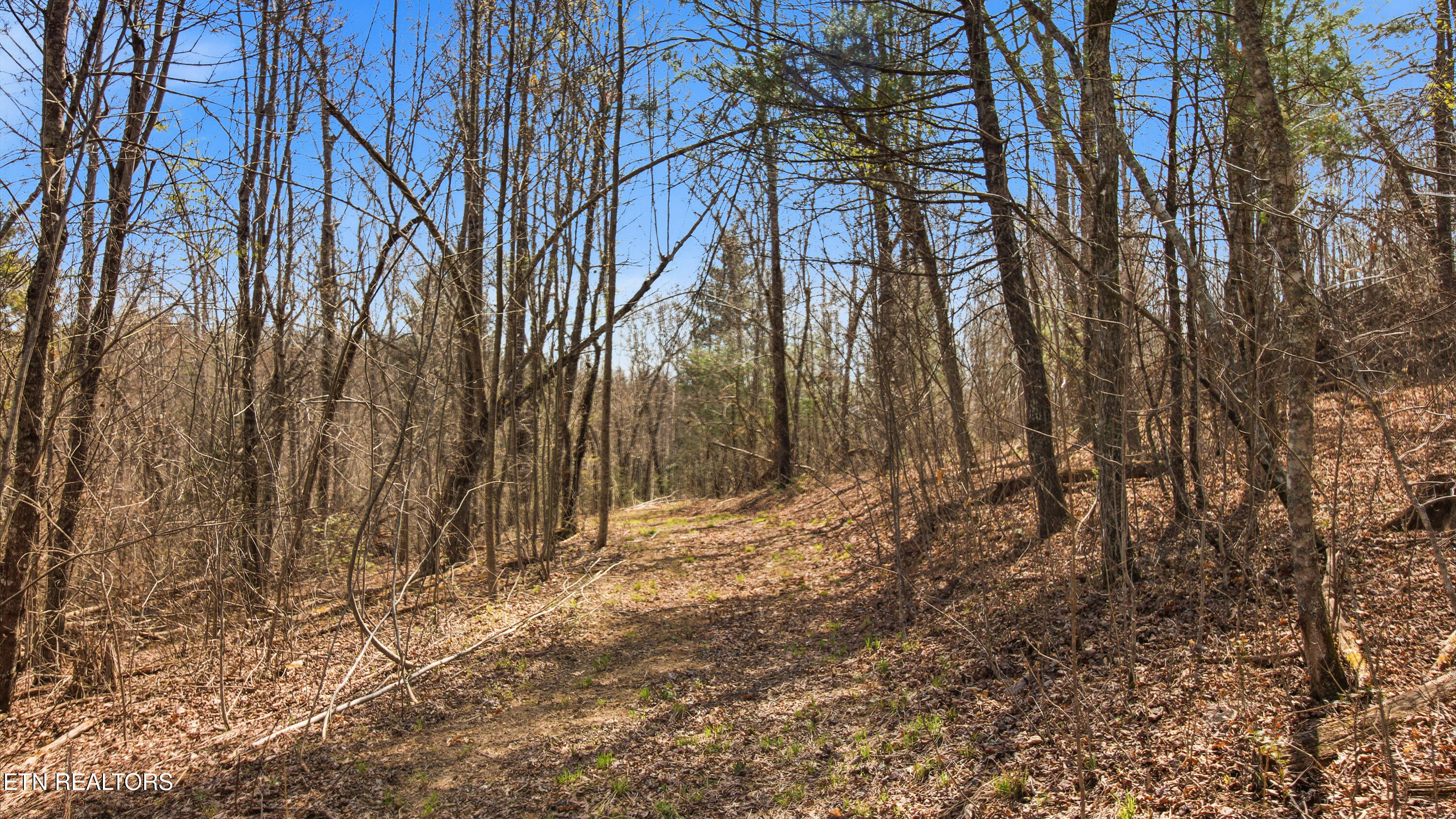 Young Road Robbins, TN 37852 - Photo 16 of 40 dan-13