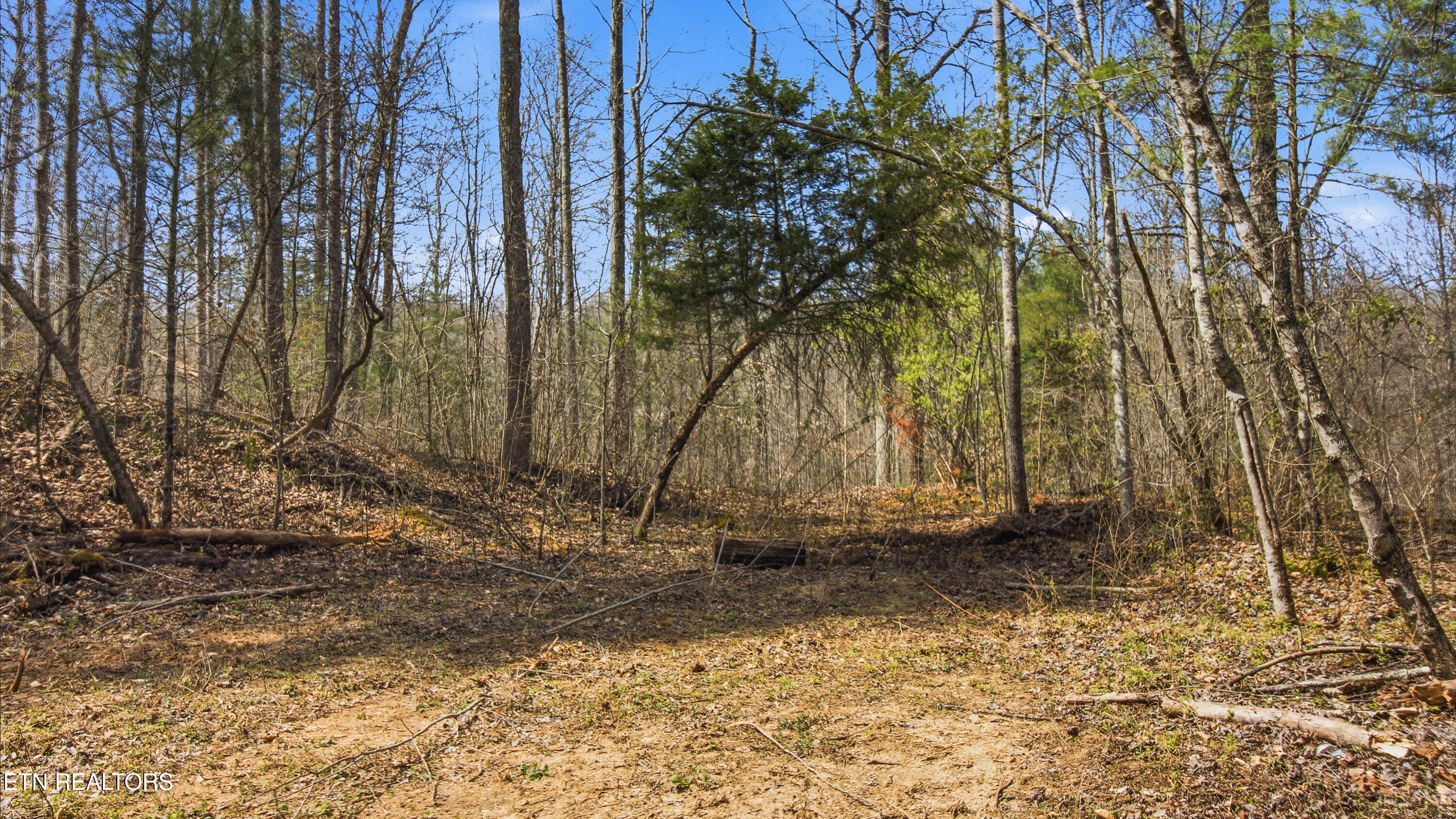 Young Road Robbins, TN 37852 - Photo 18 of 40 dan-15