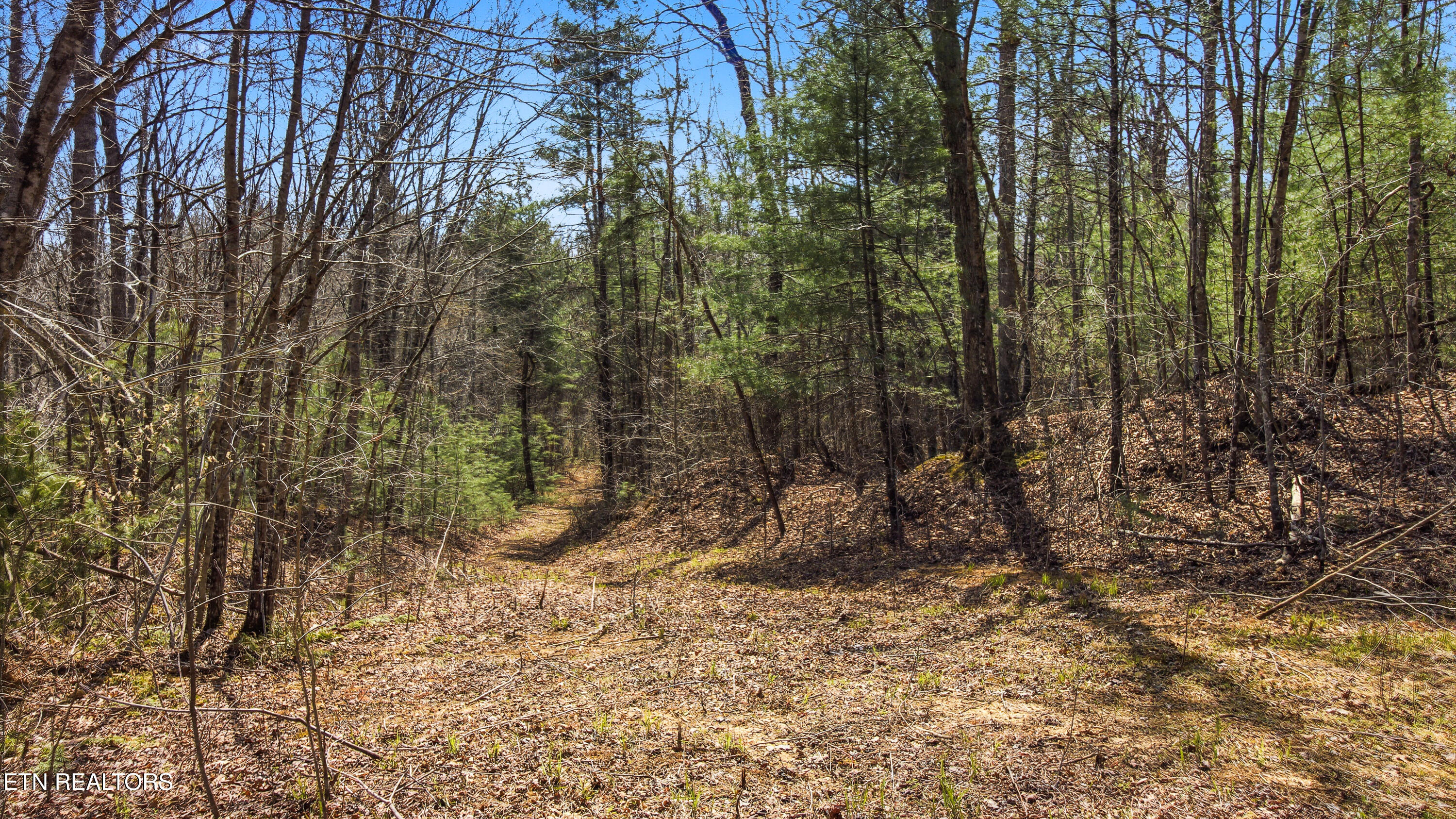 Young Road Robbins, TN 37852 - Photo 20 of 40 dan-18