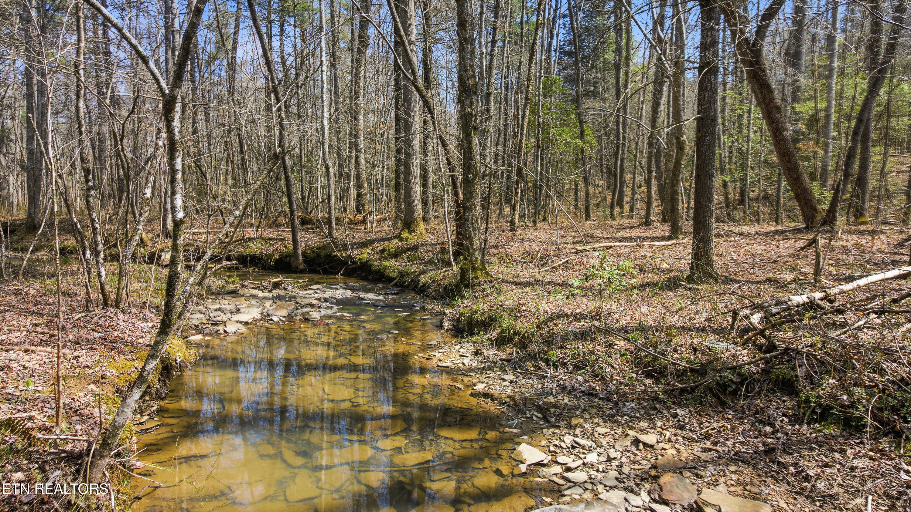 Young Road Robbins, TN 37852 - Photo 22 of 40 dan-20