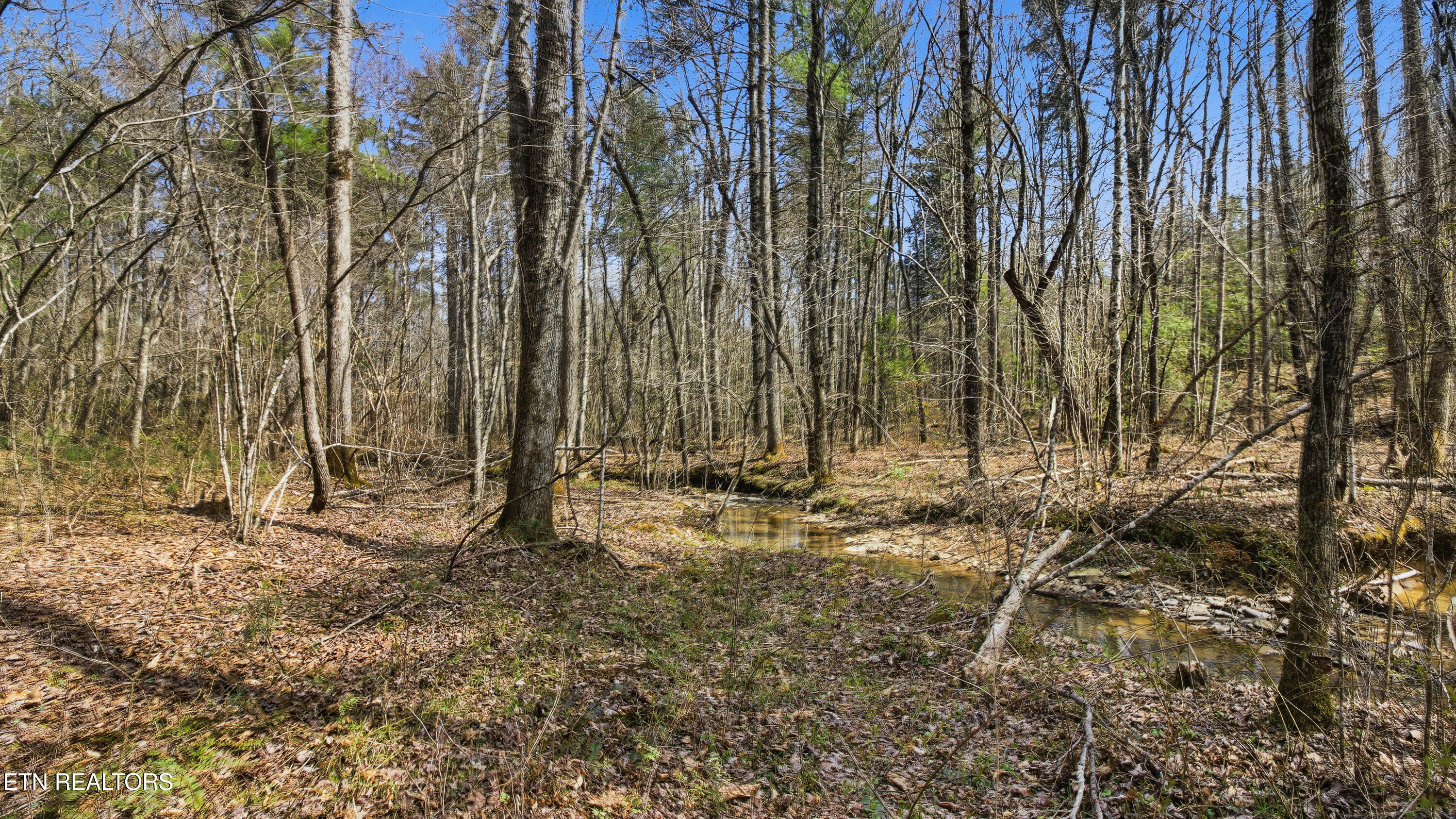 Young Road Robbins, TN 37852 - Photo 23 of 40 dan-21
