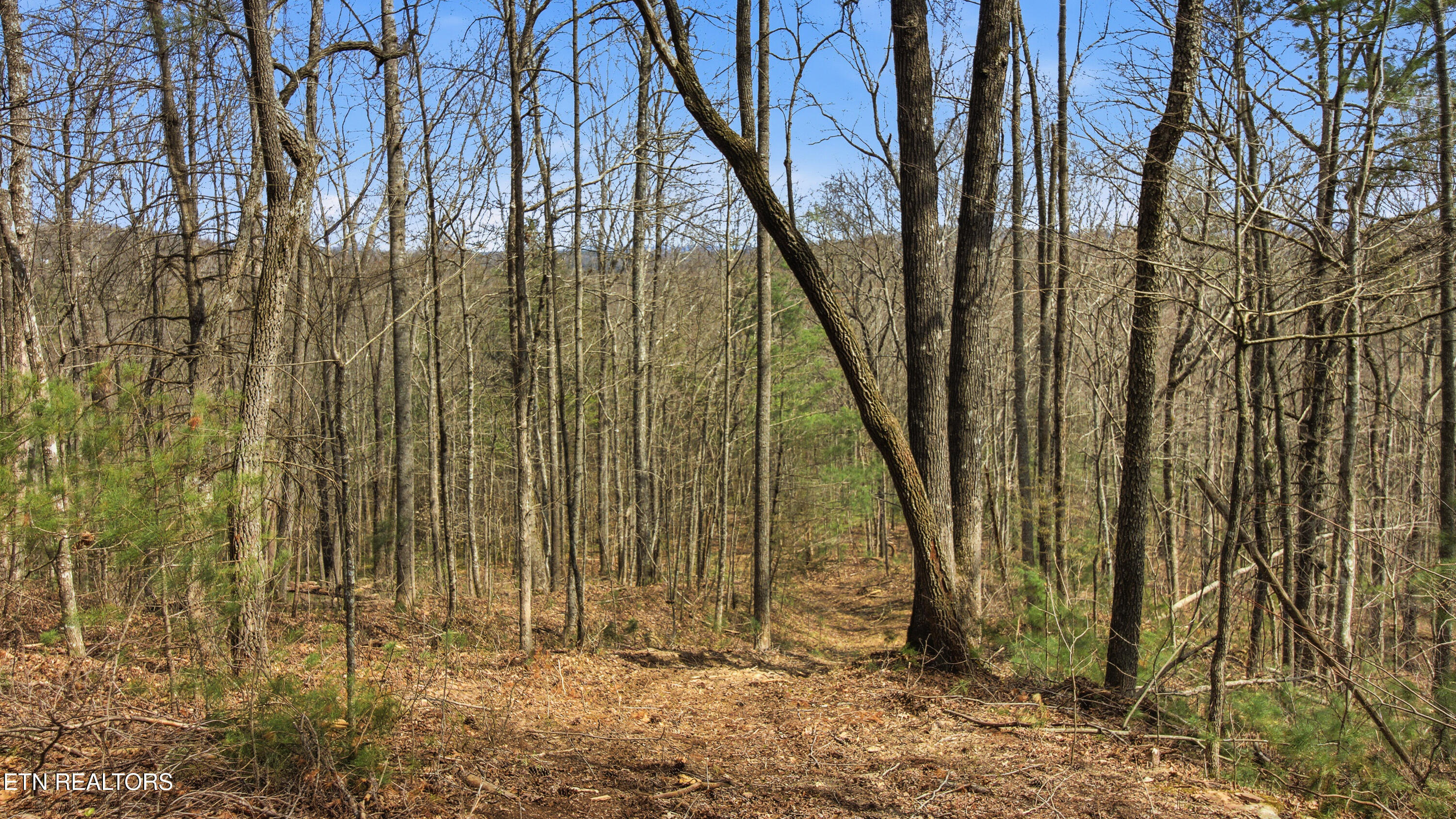 Young Road Robbins, TN 37852 - Photo 24 of 40 dan-23