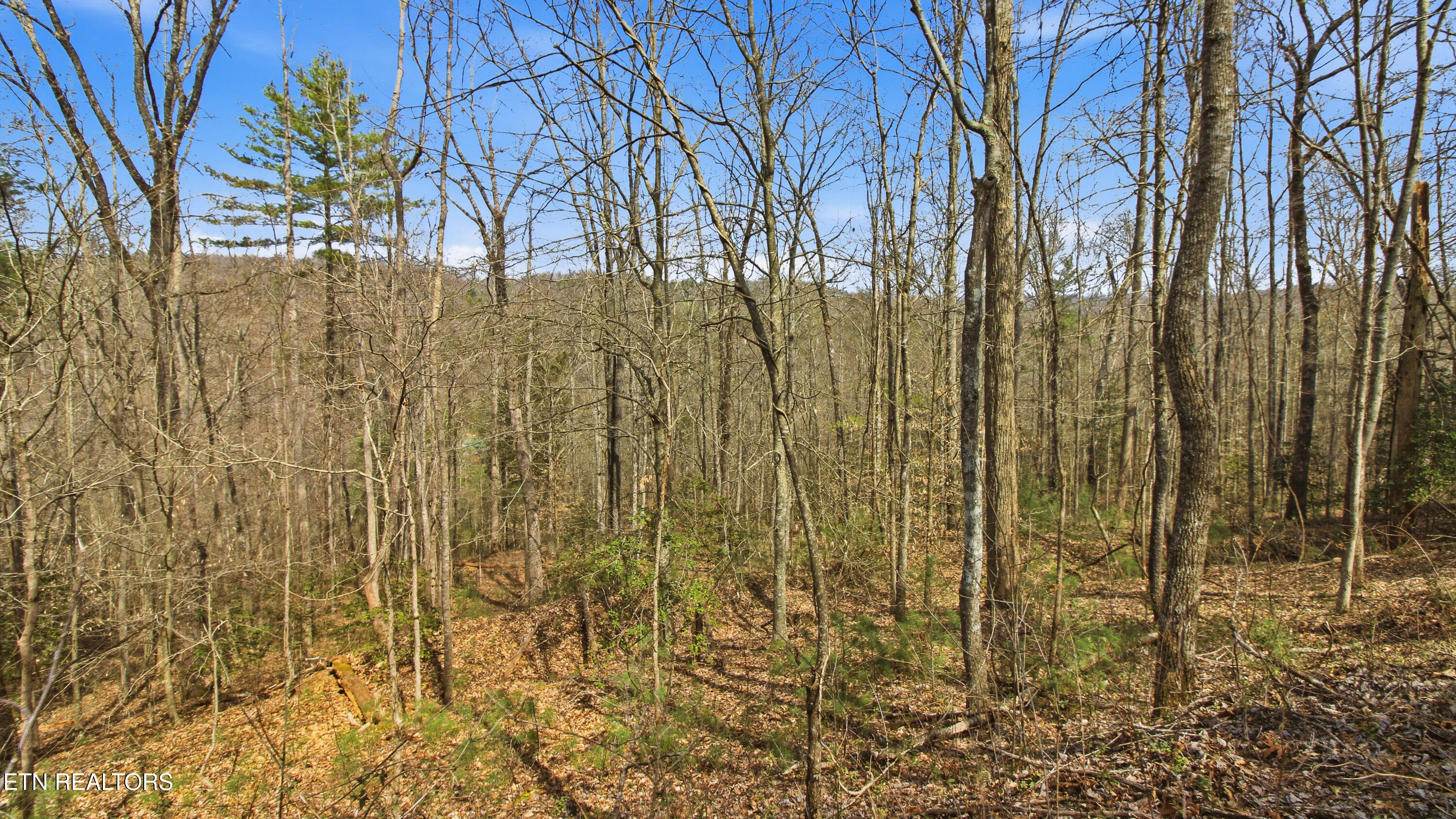 Young Road Robbins, TN 37852 - Photo 25 of 40 dan-24