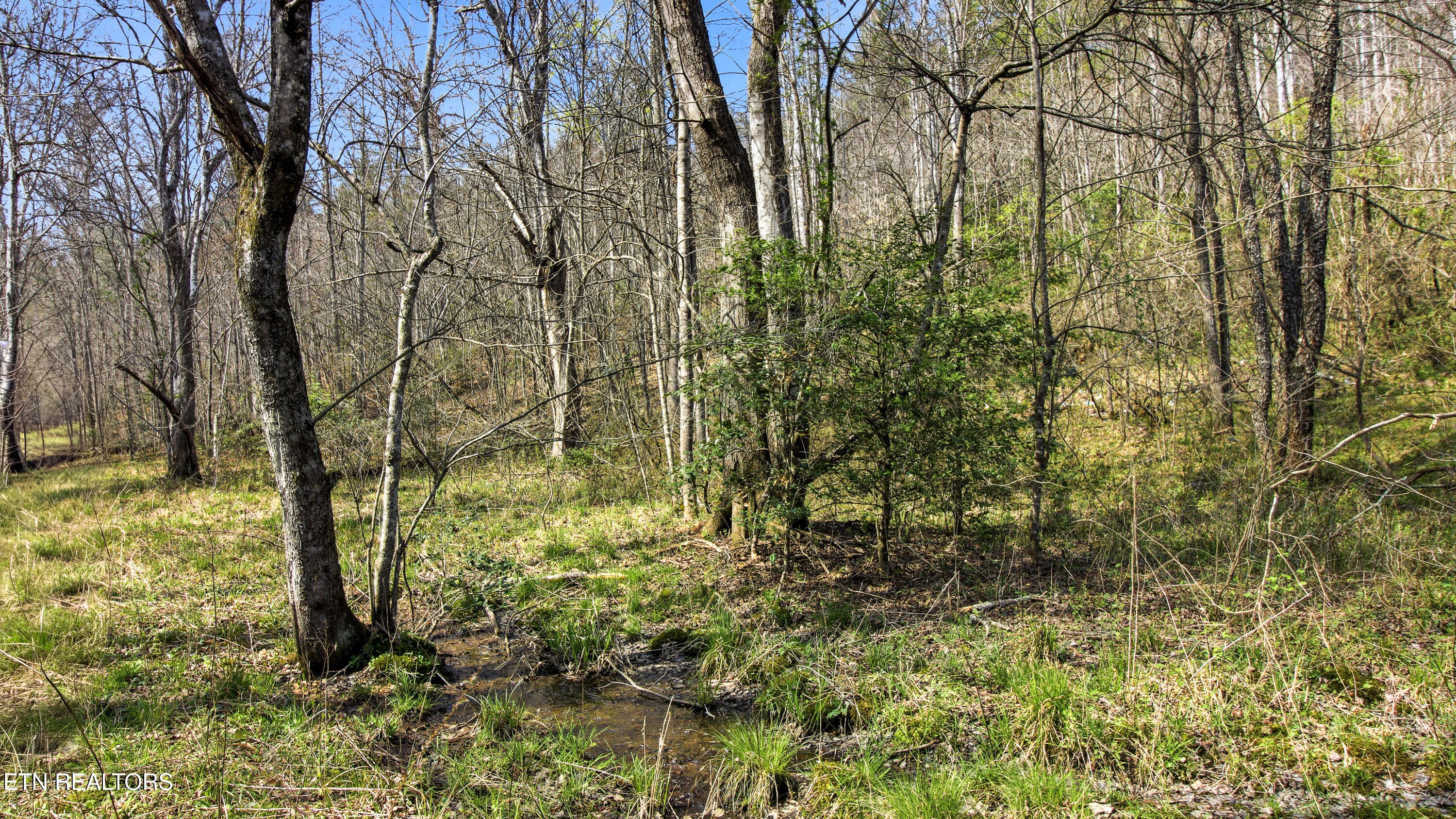 Young Road Robbins, TN 37852 - Photo 27 of 40 dan-26