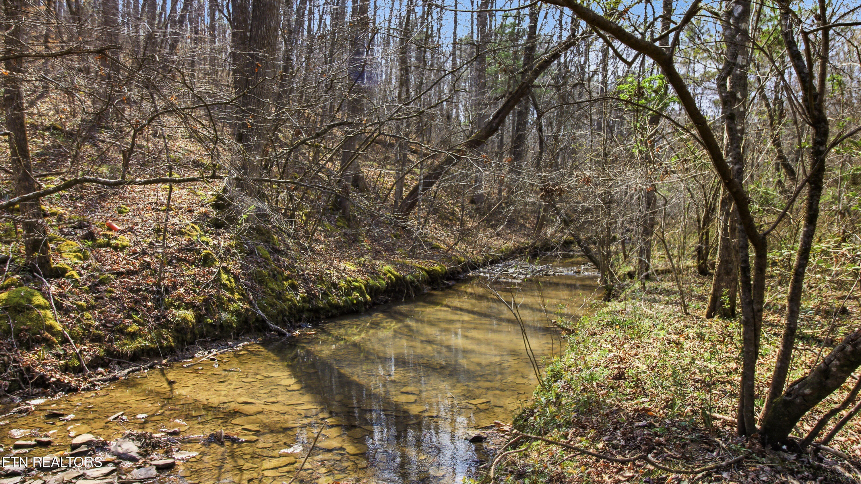 Young Road Robbins, TN 37852 - Photo 28 of 40 dan-27