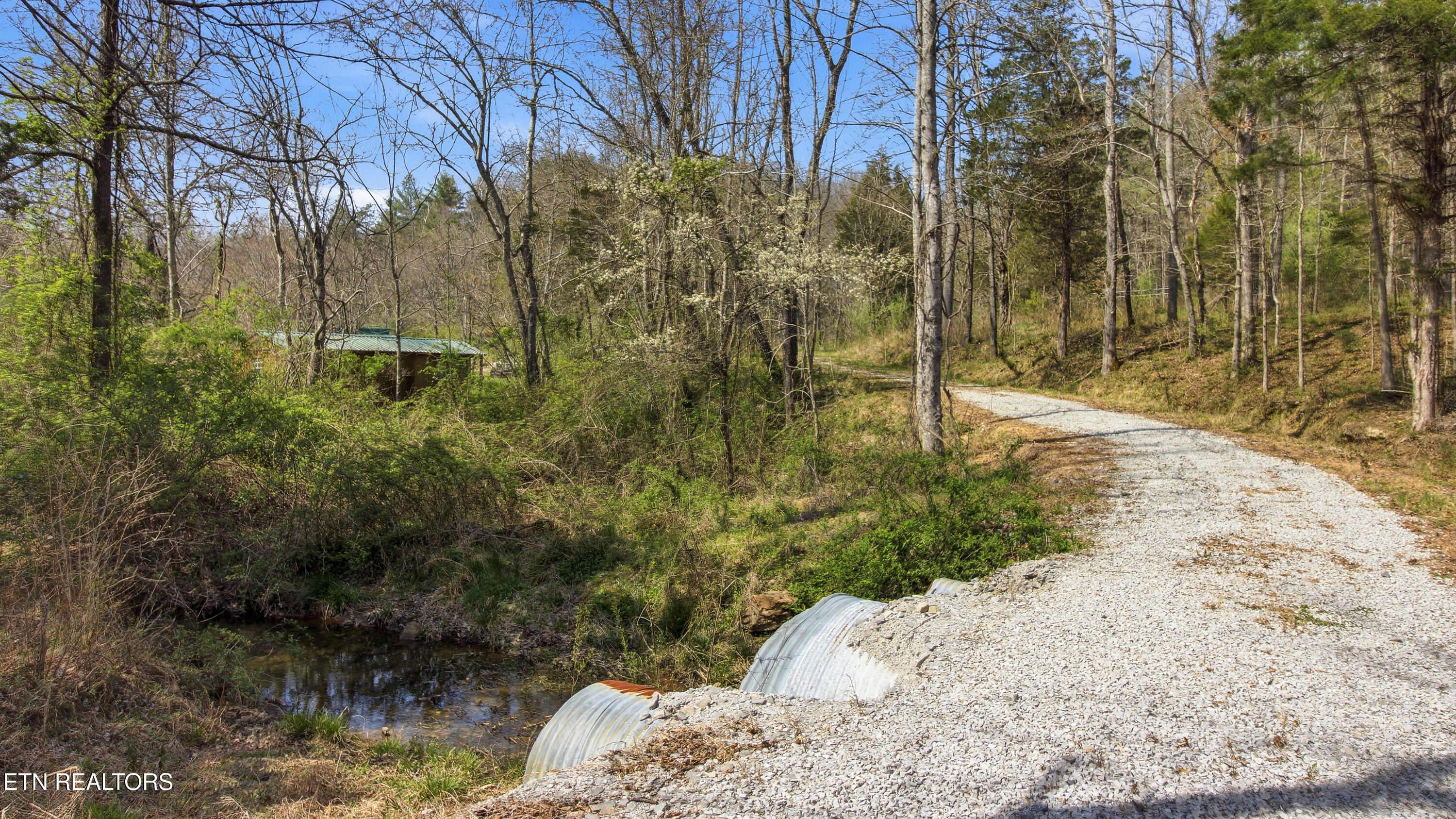 Young Road Robbins, TN 37852 - Photo 3 of 40 dan-2