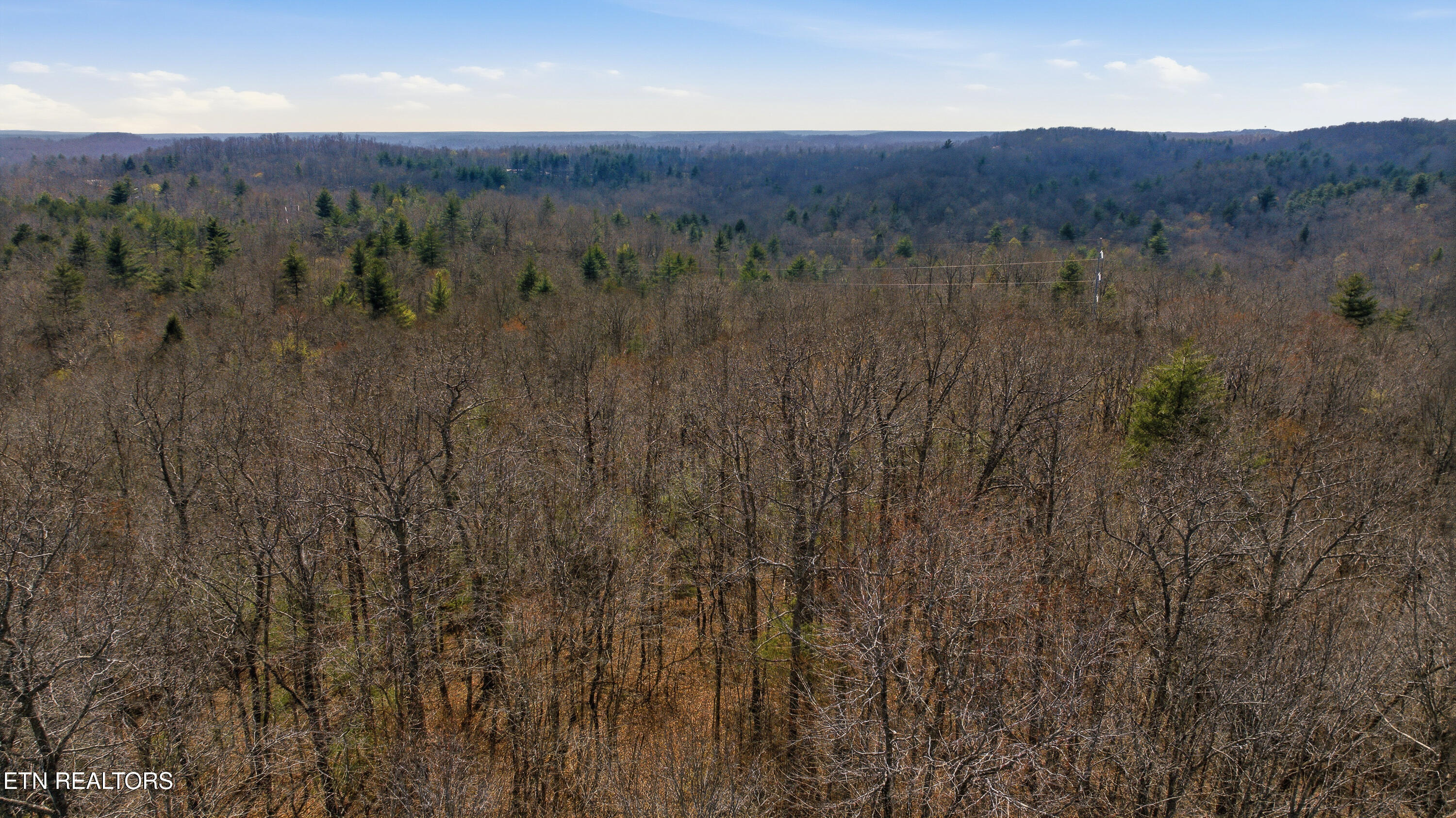 Young Road Robbins, TN 37852 - Photo 31 of 40 dan-30