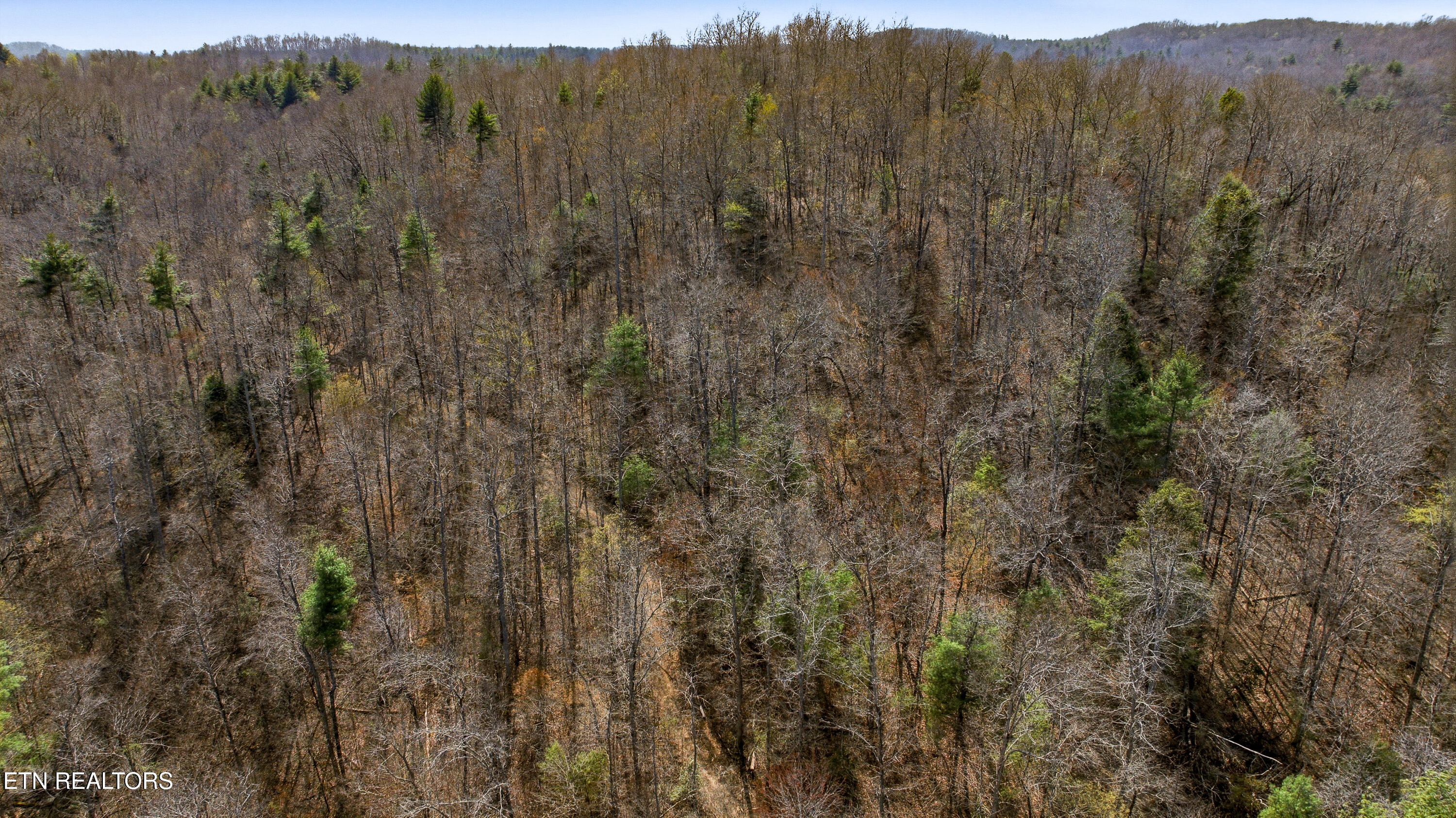 Young Road Robbins, TN 37852 - Photo 32 of 40 dan-31