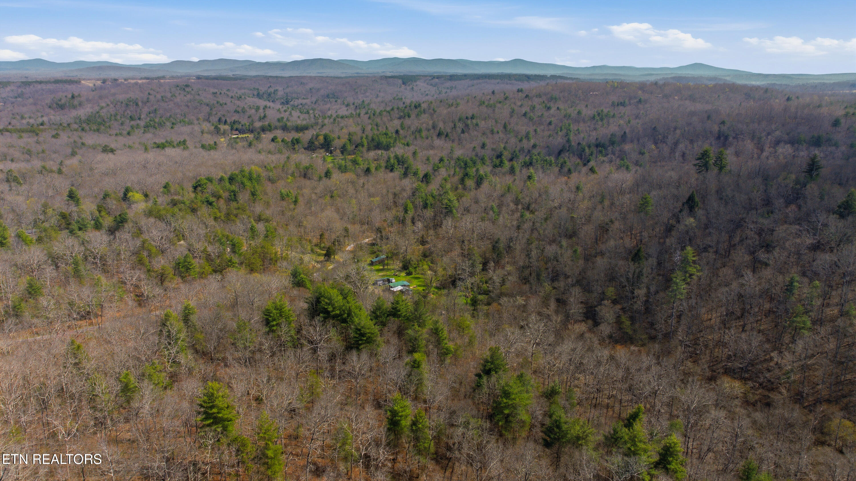 Young Road Robbins, TN 37852 - Photo 38 of 40 dan-37