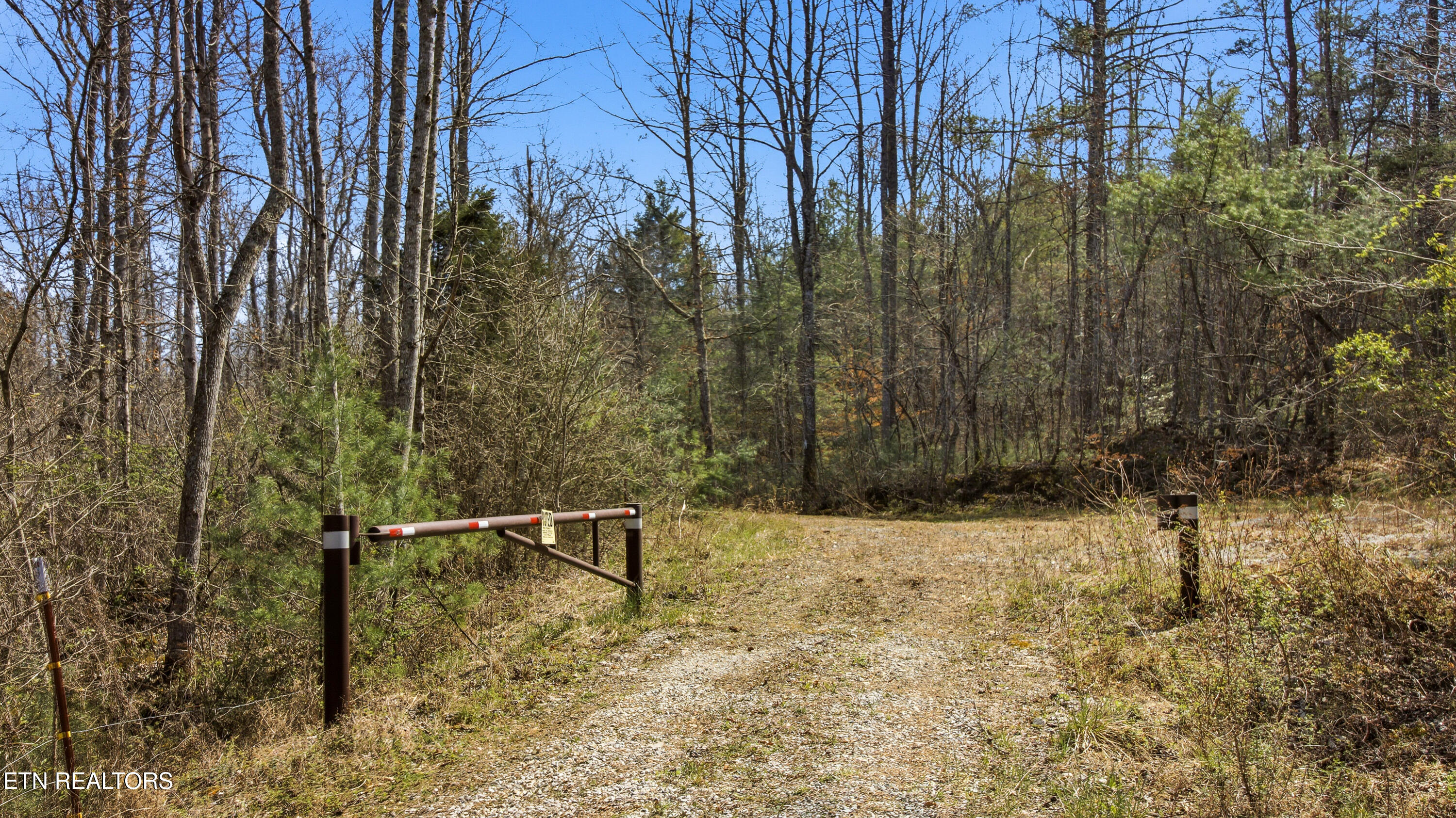 Young Road Robbins, TN 37852 - Photo 5 of 40 dan-3