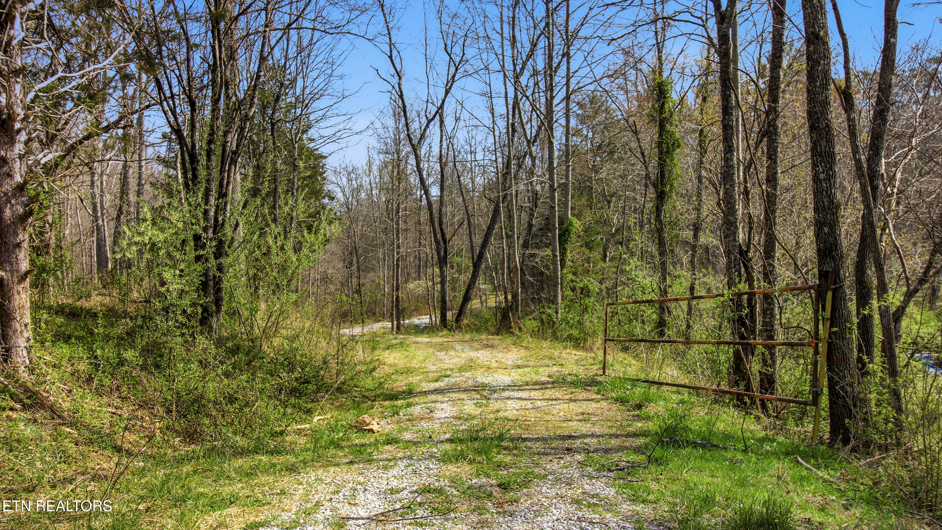 Young Road Robbins, TN 37852 - Photo 6 of 40 dan-4