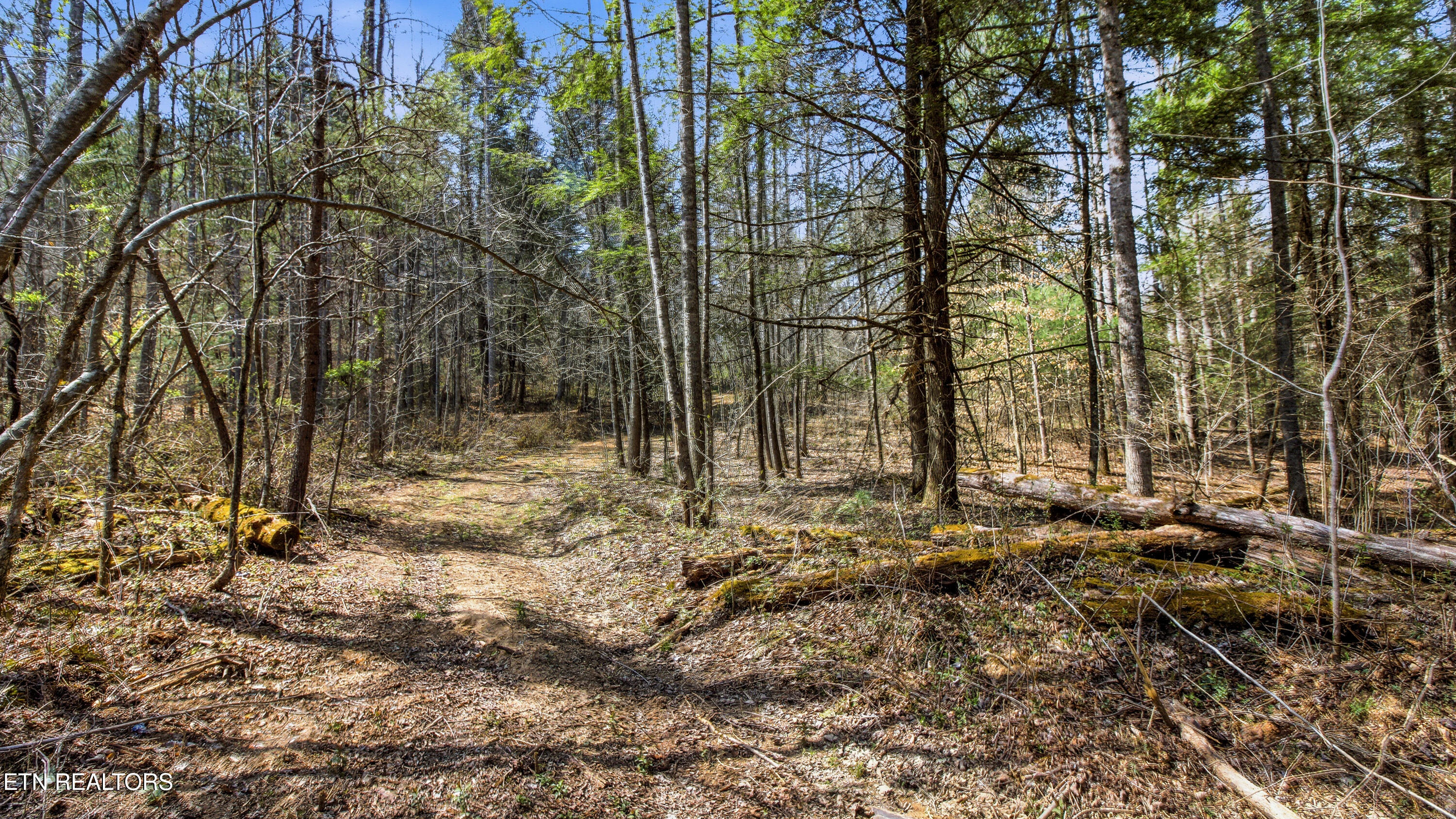Young Road Robbins, TN 37852 - Photo 7 of 40 dan-5