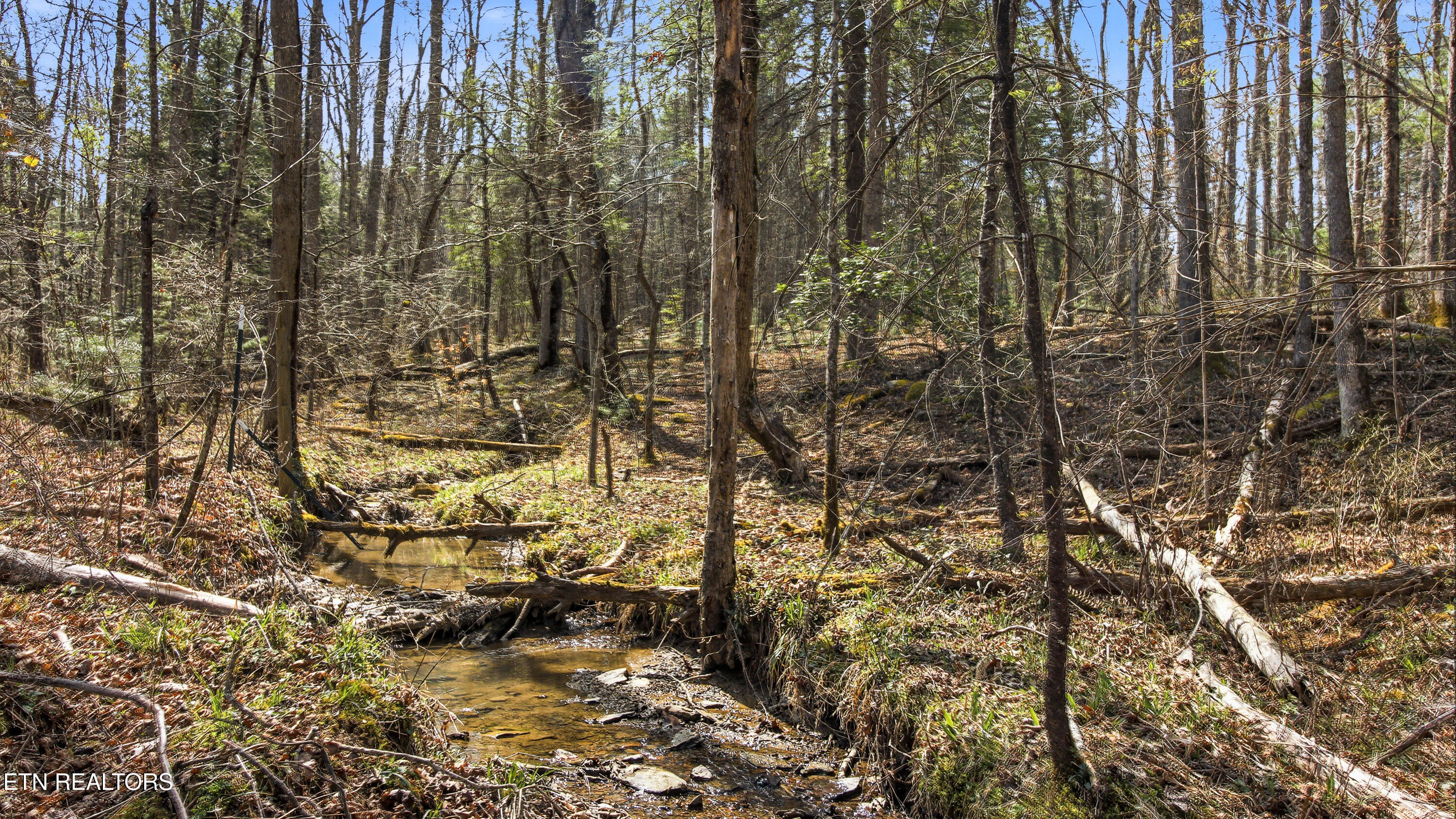 Young Road Robbins, TN 37852 - Photo 8 of 40 dan-6