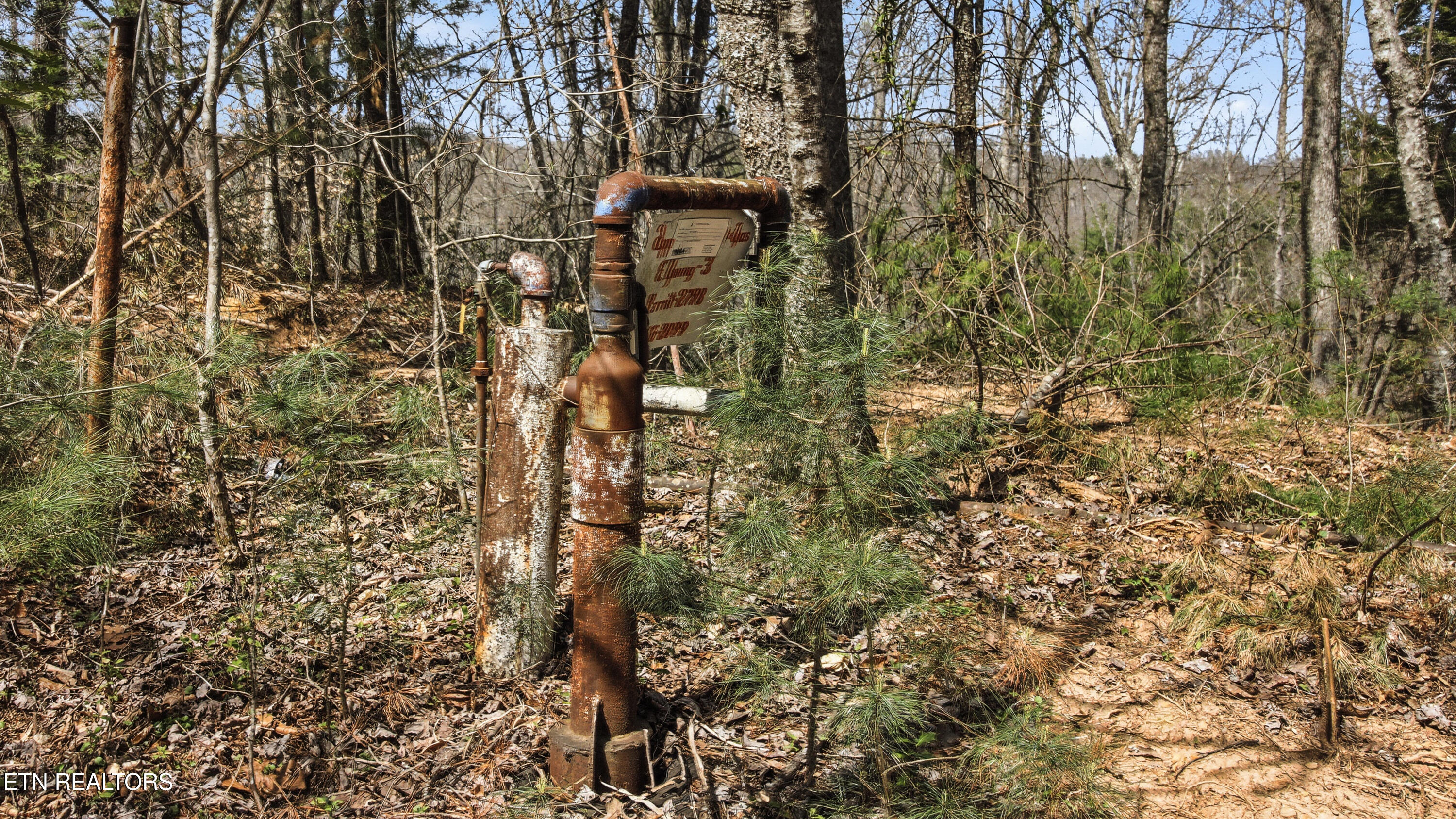 Young Road Robbins, TN 37852 - Photo 9 of 40 dan-22