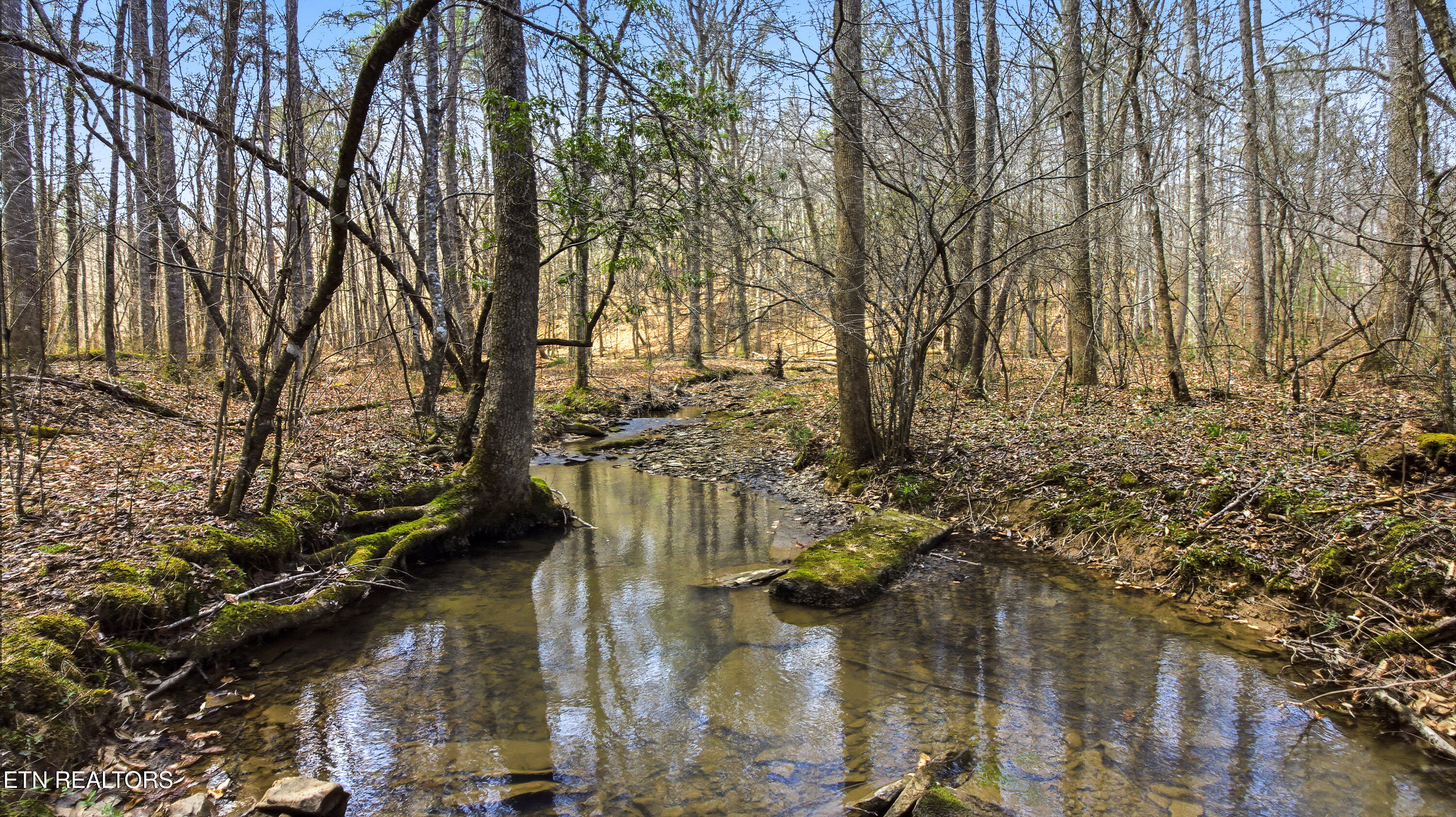 Young Road Robbins, TN 37852 - Photo 10 of 40 dan-7