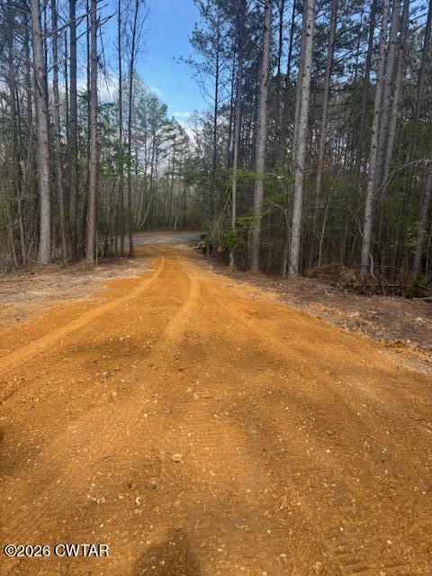 0 Moss Loop Enville, TN 38332 - Photo 1 of 9 a view of a yard with trees
