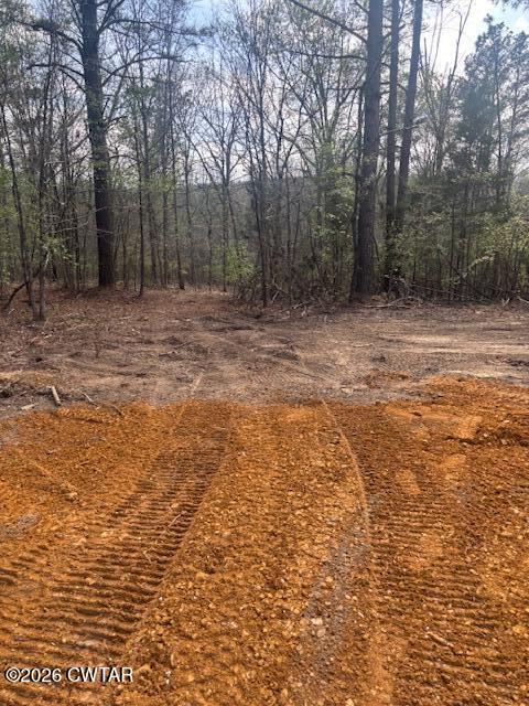 0 Moss Loop Enville, TN 38332 - Photo 3 of 9 a view of a yard with trees