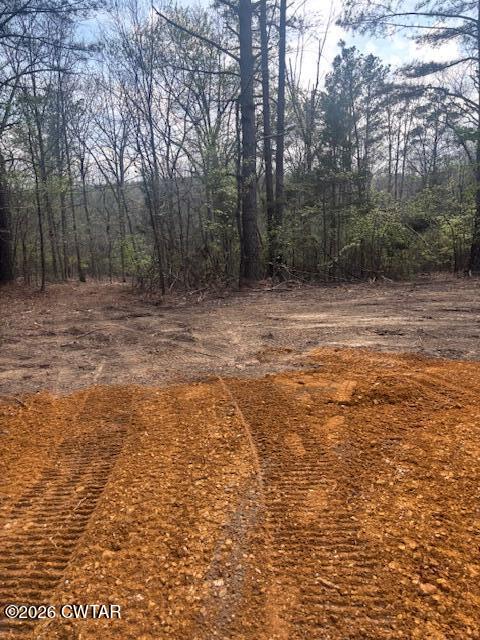 0 Moss Loop Enville, TN 38332 - Photo 4 of 9 a view of a yard with trees