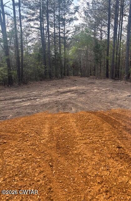 0 Moss Loop Enville, TN 38332 - Photo 5 of 9 a view of a field with trees in the background