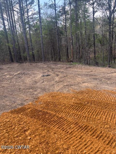 0 Moss Loop Enville, TN 38332 - Photo 6 of 9 a view of outdoor space with trees