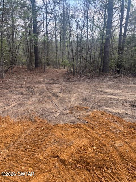 0 Moss Loop Enville, TN 38332 - Photo 7 of 9 a view of outdoor space with trees