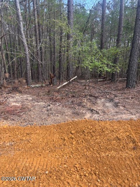 0 Moss Loop Enville, TN 38332 - Photo 8 of 9 a view of a backyard with trees