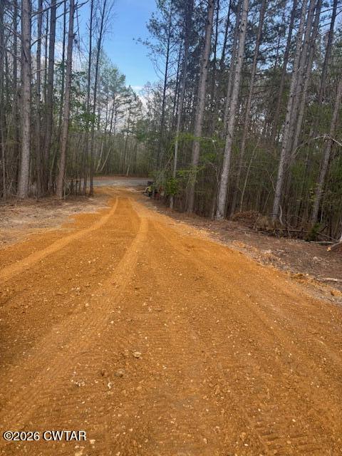 0 Moss Loop Enville, TN 38332 - Photo 9 of 9 a view of basketball court