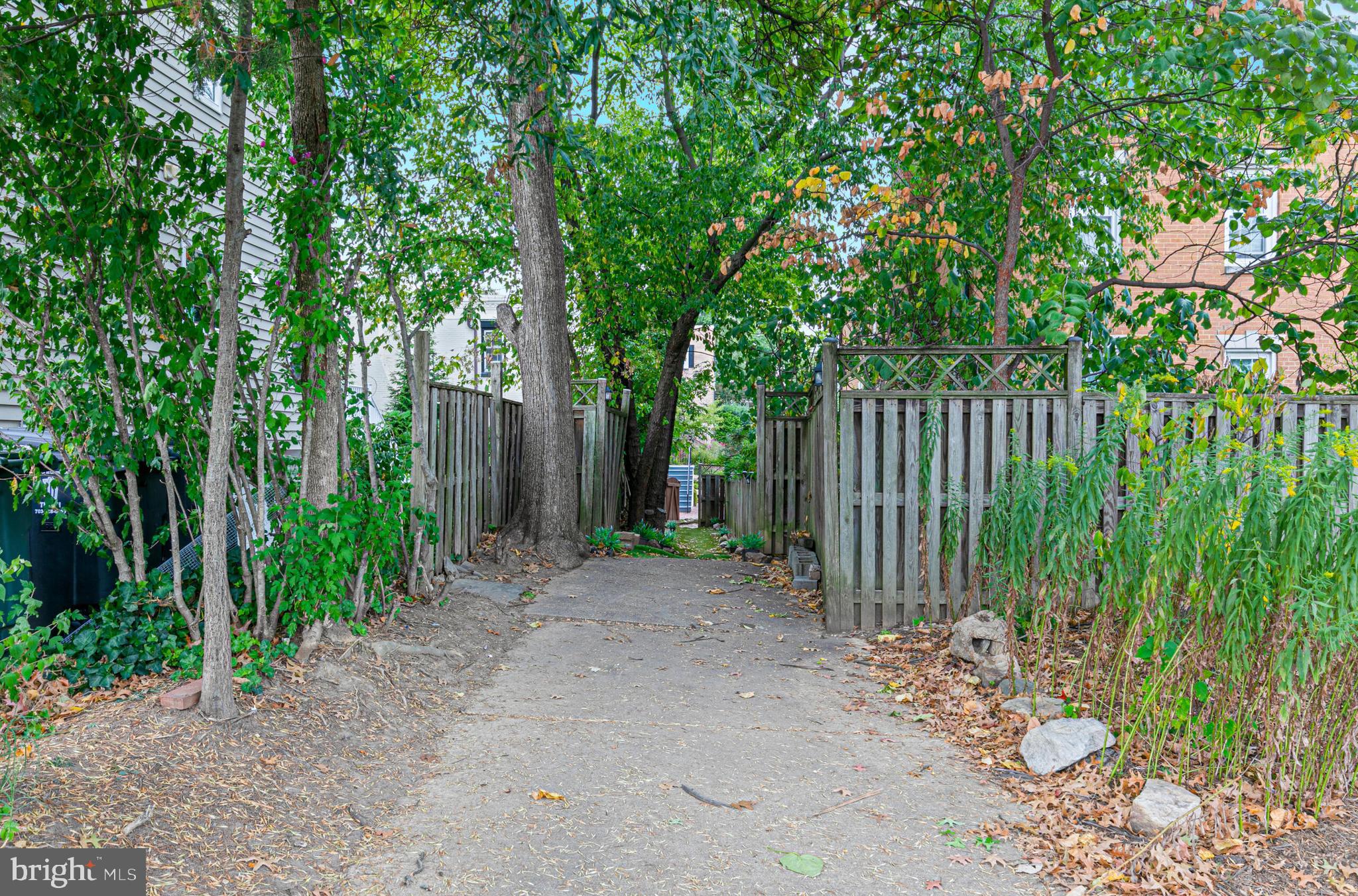 1340 North Lynnbrook Drive Arlington, VA 22201 - Photo 54 of 57 a view of a backyard with large trees and plants