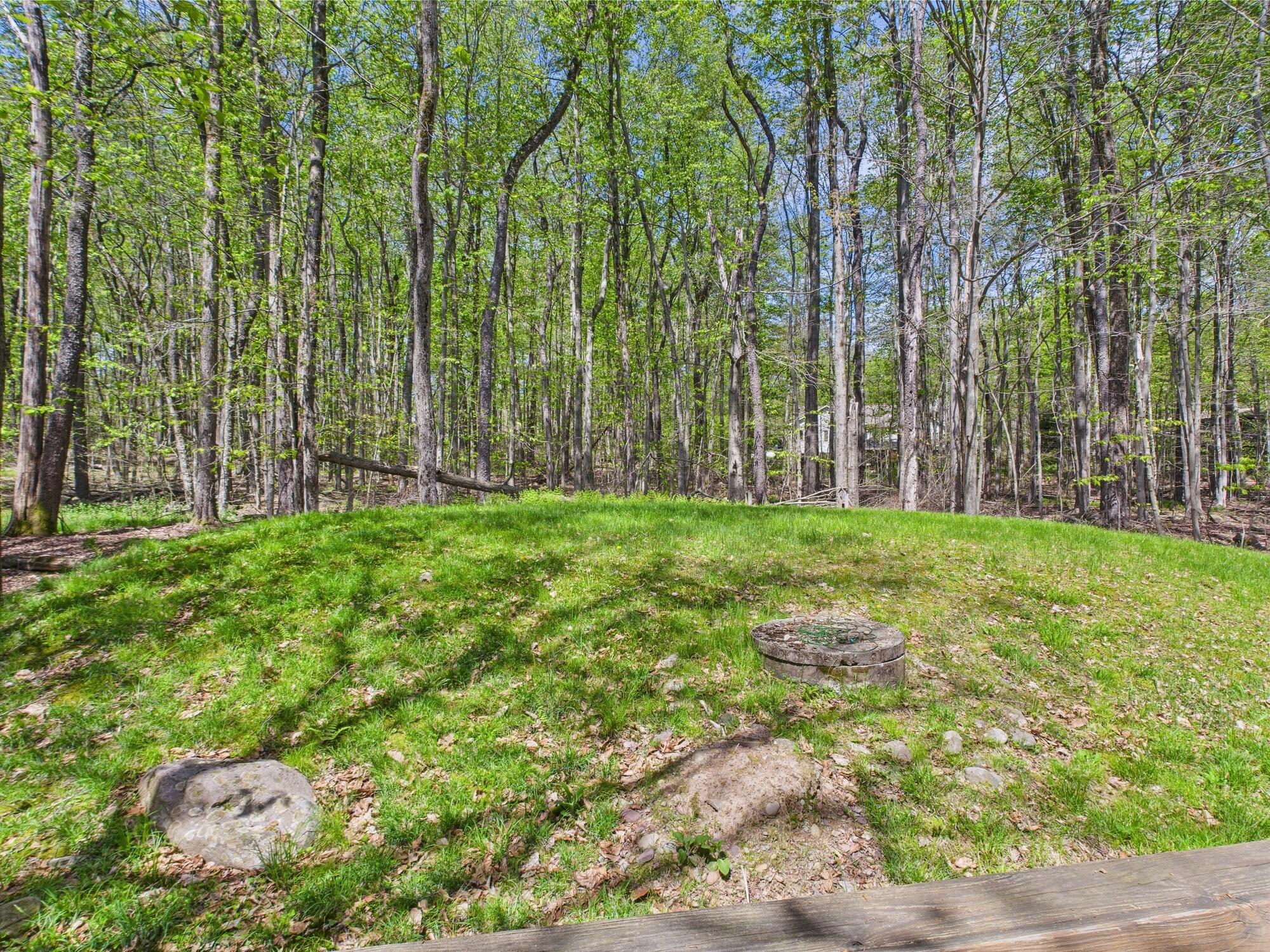 5541 Fox Run Road Pocono Pines, PA 18350 - Photo 10 of 44 BACK LOT