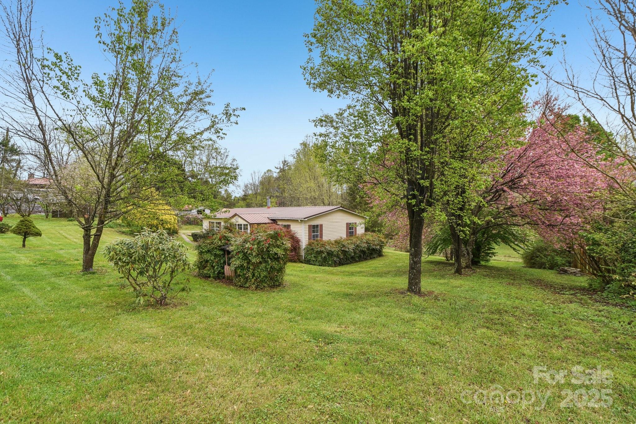 83 Libbey Lane Mills River, NC 28759 - Photo 4 of 42